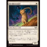 (FOIL)取り憑かれた山羊/Possessed Goat《日本語》【DSK】