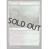 [EX+](FOIL)抑圧された墓所/Strangled Cemetery《日本語》【DSK】