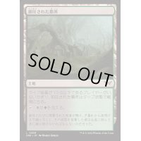 [EX+](FOIL)抑圧された墓所/Strangled Cemetery《日本語》【DSK】