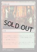 [EX+](FOIL)流血の森/Bleeding Woods《日本語》【DSK】