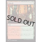 [EX+](FOIL)流血の森/Bleeding Woods《日本語》【DSK】