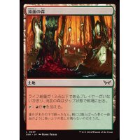 流血の森/Bleeding Woods《日本語》【DSK】