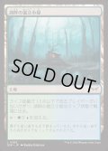 [EX+](FOIL)湖畔の掘立小屋/Lakeside Shack《日本語》【DSK】