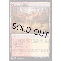 [EX+](FOIL)騒々しい移動遊園地/Raucous Carnival《日本語》【DSK】