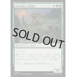 [EX+](FOIL)よだれ流しの枝潰し/Slavering Branchsnapper《日本語》【DSK】