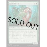 [EX+](FOIL)内気なけだもの/Bashful Beastie《日本語》【DSK】