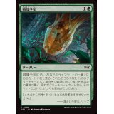 (FOIL)戦慄予示/Manifest Dread《日本語》【DSK】