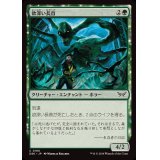 (FOIL)欲深い長首/Grasping Longneck《日本語》【DSK】