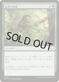 自然の知識/Nature's Lore《日本語》【EOC】