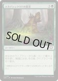 スカイシュラウドの要求/Skyshroud Claim《日本語》【EOC】