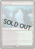 ただれた茂み/Festering Thicket《日本語》【EOC】