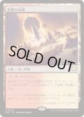 光輝の山頂/Radiant Summit《日本語》【EOC】