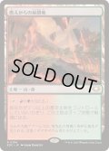 燃えがらの林間地/Cinder Glade《日本語》【EOC】