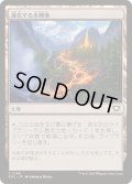 進化する未開地/Evolving Wilds《日本語》【EOC】