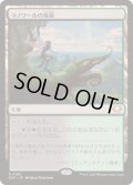 ラノワールの荒原/Llanowar Wastes《日本語》【EOC】