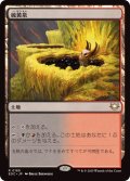 硫黄泉/Sulfurous Springs《日本語》【EOC】