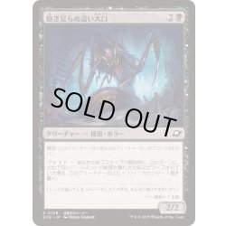画像1: (FOIL)飽き足らぬ這い大口/Insatiable Skittermaw《日本語》【EOE】