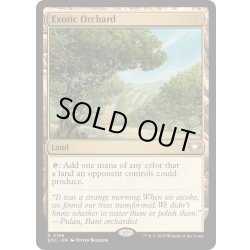 画像1: [EX+]風変わりな果樹園/Exotic Orchard《英語》【EOC】
