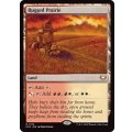 [EX+]岩だらけの大草原/Rugged Prairie《英語》【EOC】