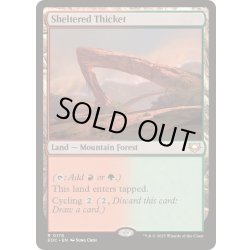 画像1: [EX+]隠れた茂み/Sheltered Thicket《英語》【EOC】