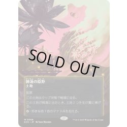 画像1: (FOIL)(フルアート)(0068)睡蓮の原野/Lotus Field《日本語》【EOS】
