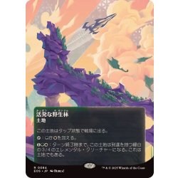 画像1: [EX+](フルアート)(0084)活発な野生林/Stirring Wildwood《日本語》【EOS】