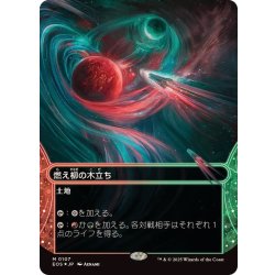 画像1: (ギャラクシーFOIL)(0107)燃え柳の木立ち/Grove of the Burnwillows《日本語》【EOS】