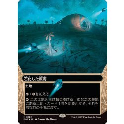 画像1: (ギャラクシーFOIL)(0122)石化した原野/Petrified Field《日本語》【EOS】