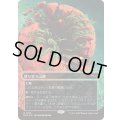 [EX+](ギャラクシーFOIL)(0125)怒り狂う山峡/Raging Ravine《日本語》【EOS】