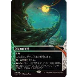 画像1: (ギャラクシーFOIL)(0129)活発な野生林/Stirring Wildwood《日本語》【EOS】