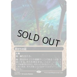 画像1: [EX+](ギャラクシーFOIL)(0132)群がりの庭/Swarmyard《日本語》【EOS】