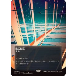 画像1: (ギャラクシーFOIL)(0175)露天鉱床/Strip Mine《日本語》【EOS】
