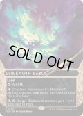[EX+](フルアート)(0003)ちらつき蛾の生息地/Blinkmoth Nexus《英語》【EOS】