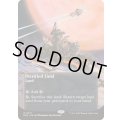 (FOIL)(フルアート)(0077)石化した原野/Petrified Field《英語》【EOS】