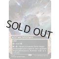[EX+](ギャラクシーFOIL)(0121)巣ごもりの地/Nesting Grounds《英語》【EOS】