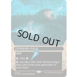画像1: (ギャラクシーFOIL)(0122)石化した原野/Petrified Field《英語》【EOS】