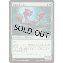 画像1: (FOIL)花開く毒針刺し/Blooming Stinger《日本語》【EOE】