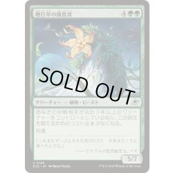画像1: (FOIL)鞭打草の捕食者/Lashwhip Predator《日本語》【EOE】