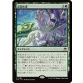 (FOIL)荷役区域/Loading Zone《日本語》【EOE】