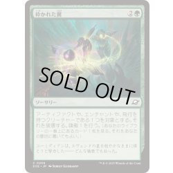 画像1: (FOIL)砕かれた翼/Shattered Wings《日本語》【EOE】