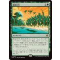 (FOIL)惑星共生/Terrasymbiosis《日本語》【EOE】