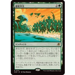 画像1: (FOIL)惑星共生/Terrasymbiosis《日本語》【EOE】