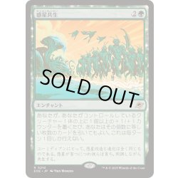 画像1: [EX+](FOIL)惑星共生/Terrasymbiosis《日本語》【EOE】