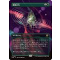 (FOIL)(フルアート)惑星共生/Terrasymbiosis《日本語》【EOE】