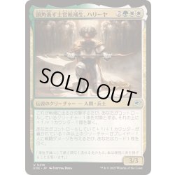 画像1: (FOIL)頭角表す士官候補生、ハリーヤ/Haliya, Ascendant Cadet《日本語》【EOE】