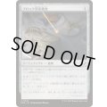 (FOIL)ブロック型栄養食/Nutrient Block《日本語》【EOE】