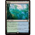 繁殖池/Breeding Pool《日本語》【EOE】