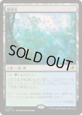 [EX+](FOIL)繁殖池/Breeding Pool《日本語》【EOE】