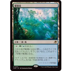 画像1: 繁殖池/Breeding Pool《日本語》【EOE】