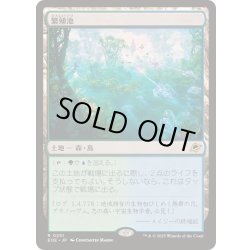 画像1: [EX+](FOIL)繁殖池/Breeding Pool《日本語》【EOE】